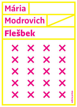 maria-modrovich-flesbek-nestandard1